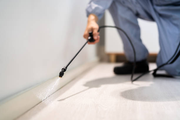 Professional exterminator conducting IPM assessment in Krebs