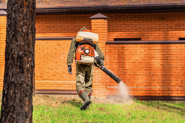 Top rated local Mosquito Control specialists in Krebs, OK